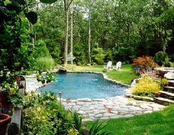 Sample Gunite Pool Image 23