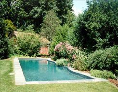 Sample Gunite Pool Image 24