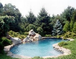 Sample Gunite Pool Image 7