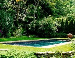 Sample Gunite Pool Image 14