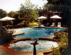 Sample Gunite Pool Image 19