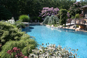 Sample Gunite Pool Image 1